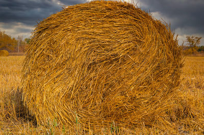 Hay bales on field against sky