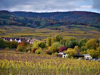 Scenic view of landscape against sky during autumn