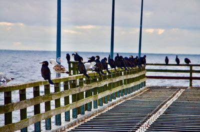 Group of people on railing by sea against sky