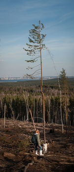 Man sitting on wood in forest against sky