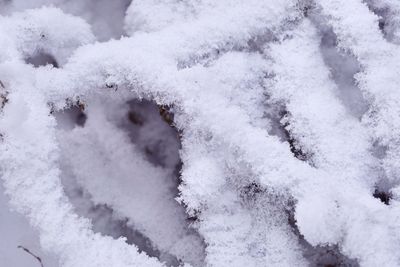 Close-up of frozen ice
