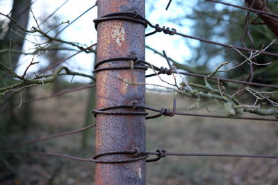 Close-up of metal wires tied up of pole at field