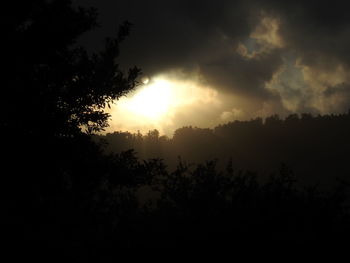 Low angle view of silhouette trees against sky at sunset