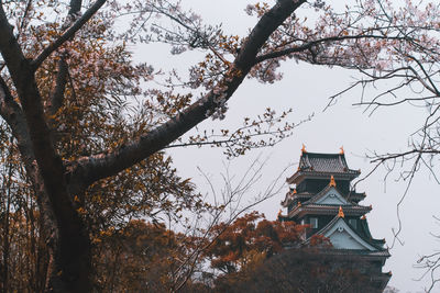 Low angle view of a building