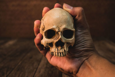 Close-up of a hand holding human skull