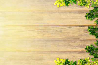 wood
