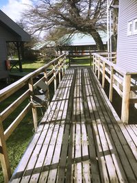 Walkway amidst trees against sky