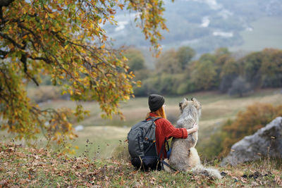 Rear view of horse standing on land