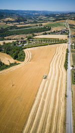 High angle view of agricultural field