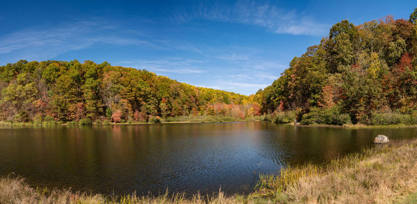 Scenic view of lake by trees against sky