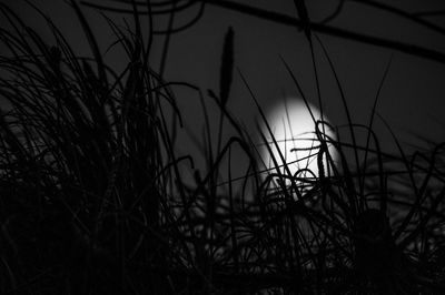 darkness