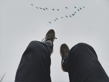 Low angle view of birds flying against clear sky