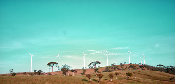 People on field against sky