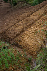 High angle view of field