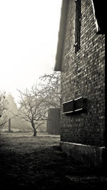 Bare tree against built structure