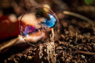 Close-up of bubbles on land