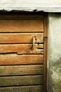 Close-up of lizard on wooden door