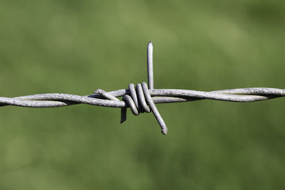 Close-up of barbed wire on fence