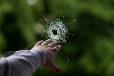 Close-up of hand holding dandelion