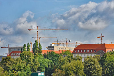 Buildings and cranes in city