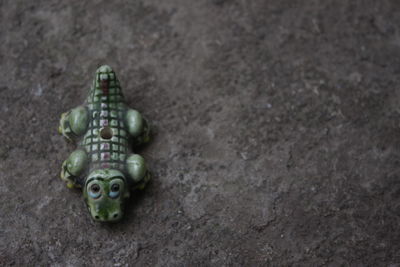 Close-up of turtle on sand