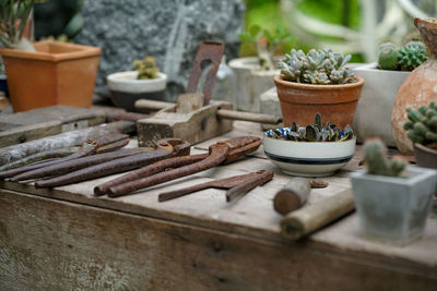 Close-up of potted plants on table