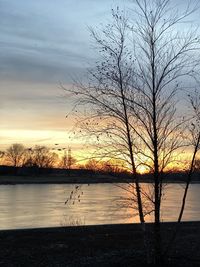 Silhouette bare tree by lake against sky during sunset