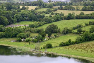 Scenic view of agricultural field