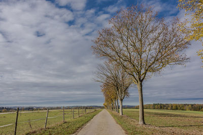Road amidst trees on field against sky