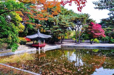 Pond in park