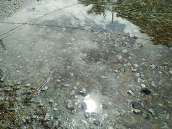 High angle view of puddle on street during rainy season