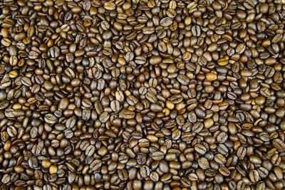 Full frame shot of coffee beans