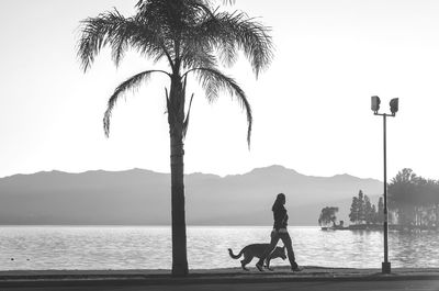Silhouette people with dog on beach against sky