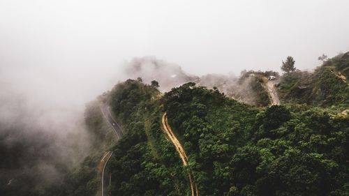 Panoramic view of road amidst trees against sky