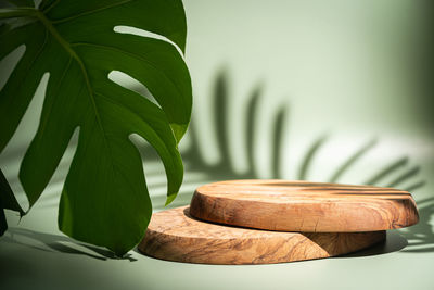 Close-up of leaves on table