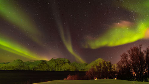 Scenic view of star field against sky at night