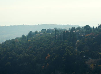 Trees on landscape against sky