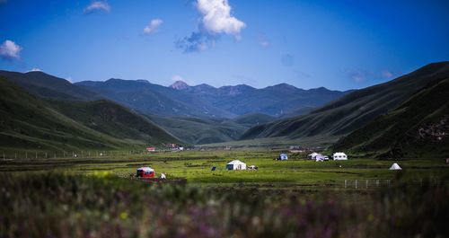 Scenic view of agricultural field against sky