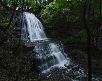 Scenic view of waterfall in forest, sherman falls, dundas, ontario, canada