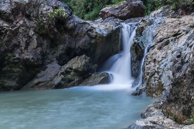 Scenic view of waterfall in forest