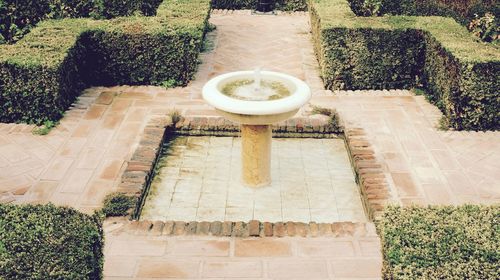 High angle view of plants by water