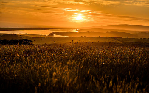 Scenic view of field against sky during sunset