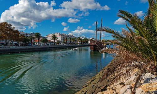 Scenic view of palm trees and buildings against sky