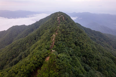 mountain