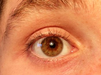 Extreme close up of human eye