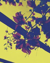 Close-up of yellow flowers against sky