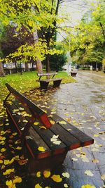 Empty park bench by tree in yard