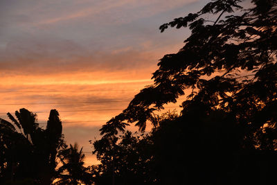 Low angle view of silhouette trees against romantic sky