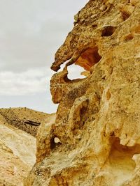 Low angle view of horse against sky