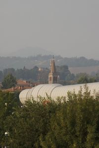 Scenic view of field against clear sky